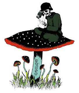 Стикер Edelweiss (@hungarianmushroompeople) - 0