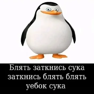 Sticker Я съел шекели - 0