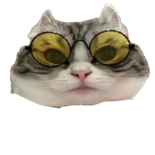 Стикер Троллы *...* и... КОМАРУ!!! - 0