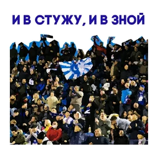 Sticker FC Fakel - 0