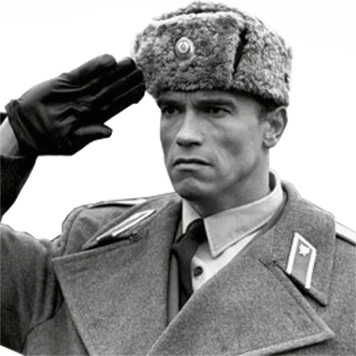 одежда одежда Человек человеческое лицо