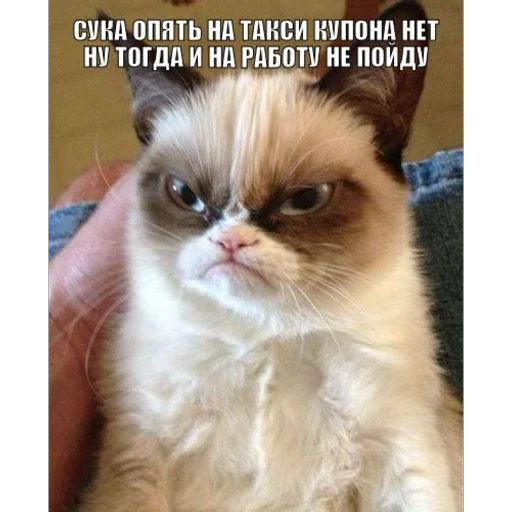 Создать стикеры|@EmojiRuBot Создать стикеры|@EmojiRuBot -