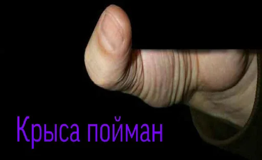 палец палец большой палец Человек