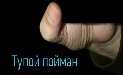 палец палец большой палец Человек