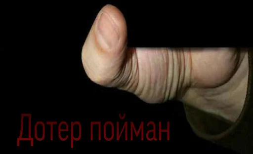 палец палец большой палец Человек