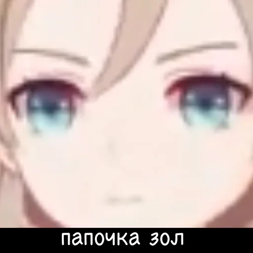 СМС СМС ресница Макросъемка