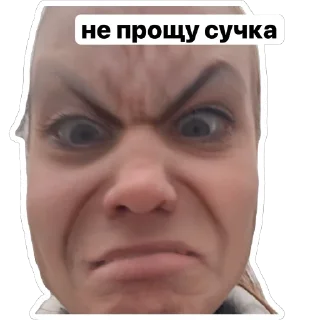 Стикер гломзи шпомзи 2💕🐿️🌰 - 4