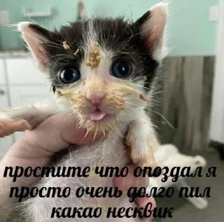 Стикер Больше стиков тут: @stikery4 - 5