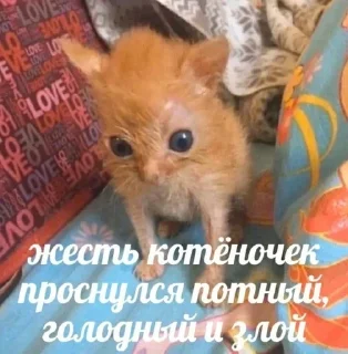 Стикер Больше стиков тут: @stikery4 - 9
