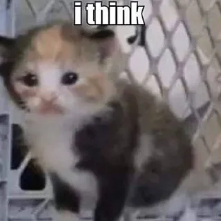 Стикер Больше стиков тут: @stikery4 - 7