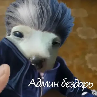 Стикер Админа надо хуесосить - 7 Стикер Админа надо хуесосить - 7