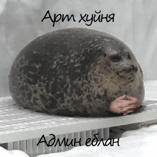 Стикер Админа надо хуесосить - 4 Стикер Админа надо хуесосить - 4