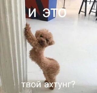 Стикер Чмоники - 4