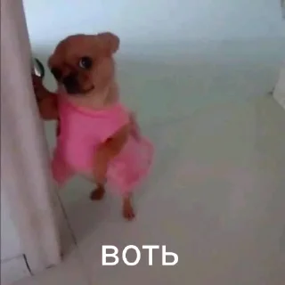 Стикер Чмоники - 7