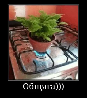 Стикер Ебу чугун @MoiStikiBot - 0