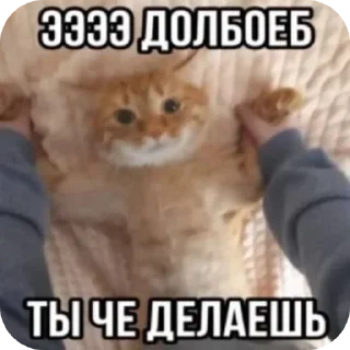 Стикер @VLAGA_STICK 👈 Там ВСЕ стикеры❤️ - 0