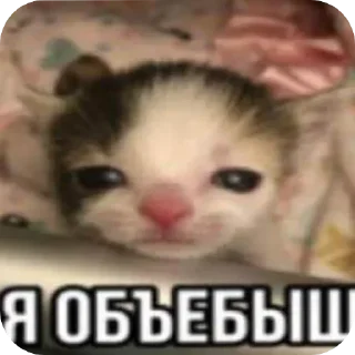 Стикер @VLAGA_STICK 👈 Там ВСЕ стикеры❤️ - 10