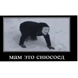 Стикер КВД ГОВНО - 0