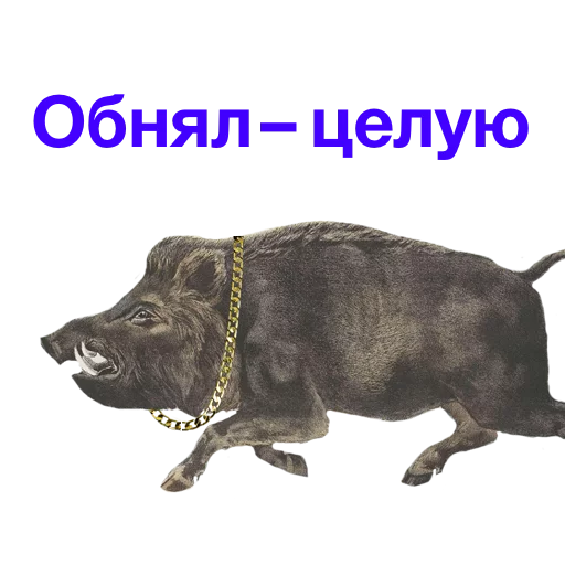 животное животное СМС млекопитающее