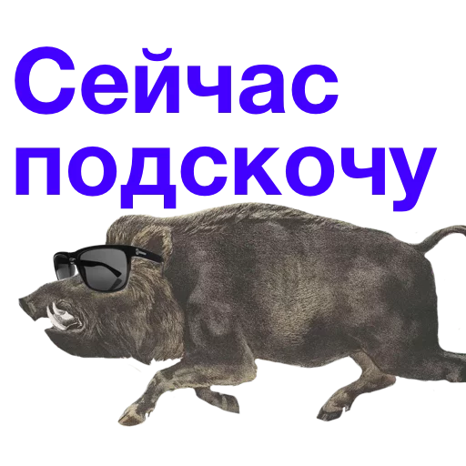 СМС СМС животное млекопитающее