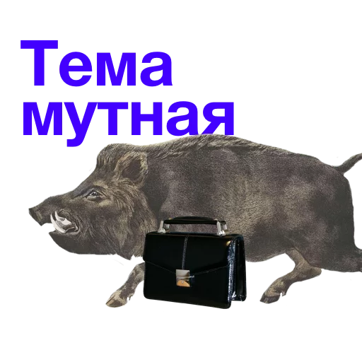 СМС СМС животное млекопитающее