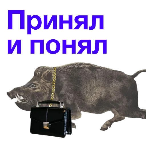СМС СМС кошка млекопитающее
