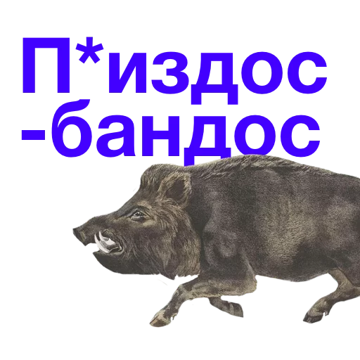 СМС СМС животное млекопитающее
