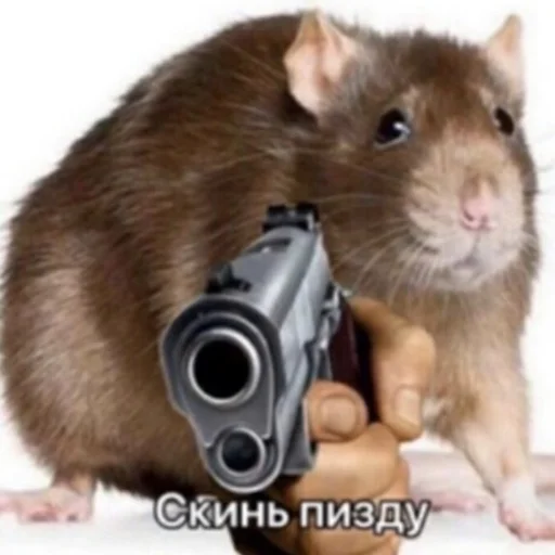 Sticker Крыса - 3