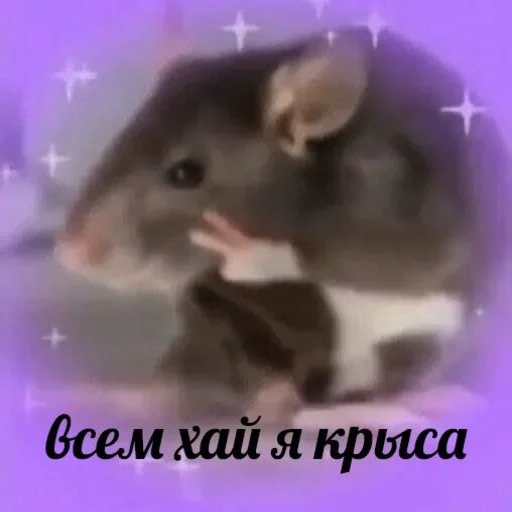 Sticker Крыса - 2