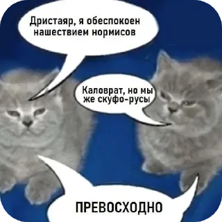 Стикер Котыкы - 0