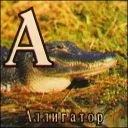 Sticker Кубики - 0