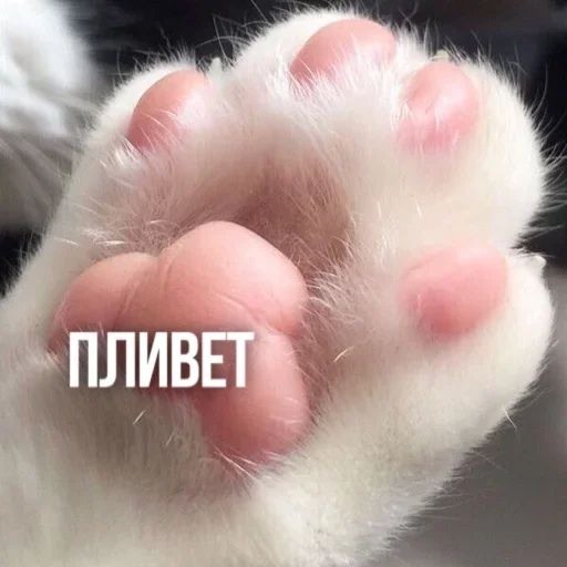 Создано в @sozdsti_bot Создано в @sozdsti_bot -
