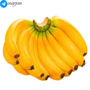 Sticker 🍉 پک استیکر میوه ها 1- مرجان 🍌 - 0