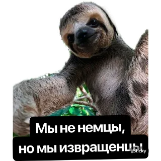Стикер Наша Маша - 5