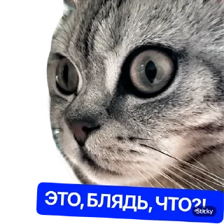 Стикер Наша Маша - 2