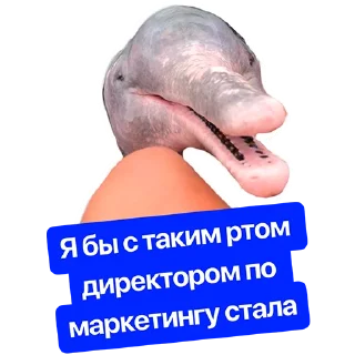 Стикер Наша Маша - 4