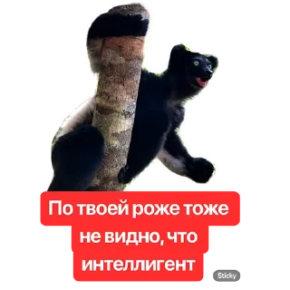 Стикер Наша Маша - 6