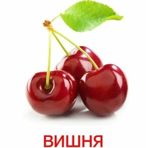 Стикер Вишня :: @fStikBot - 1
