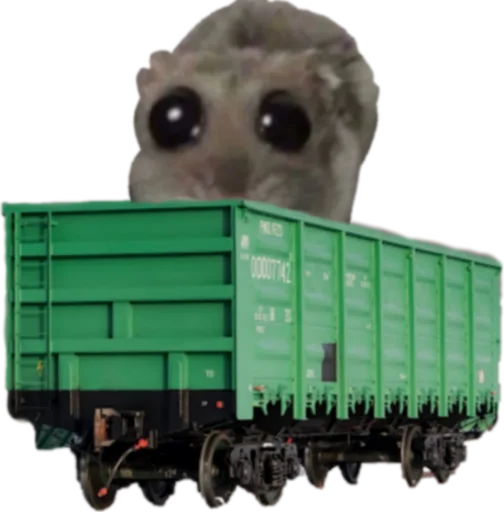 Mavka Hamster - 
