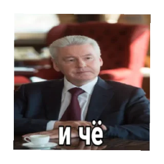 Стикер Мэр собянин - 0