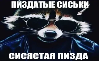 Sticker Memes @MoiStikiBot - 0