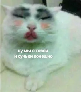 Стикер конфуций - 6