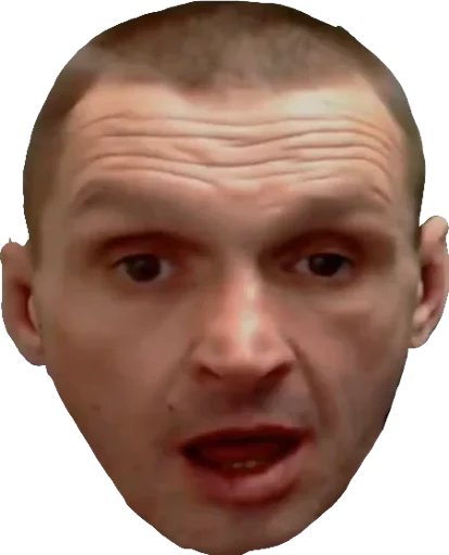 лоб лоб щека челюсть