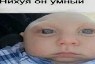 Нихуя он умный by @fStikBot Нихуя он умный by @fStikBot - СМС