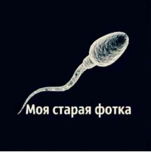 Стикер минетик :: @fStikBot - 1