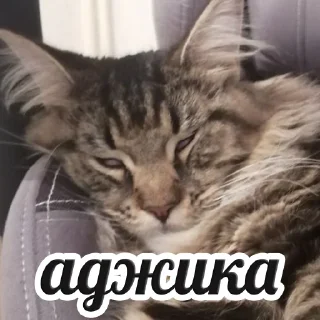 Стикер Freya - 0
