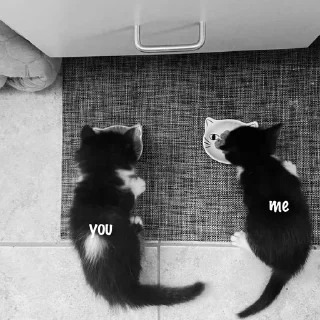 Sticker kiss me.₊✦ . - 0