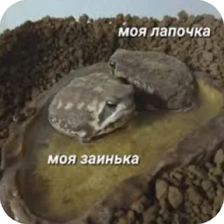 Стикер Палата №6 - 0