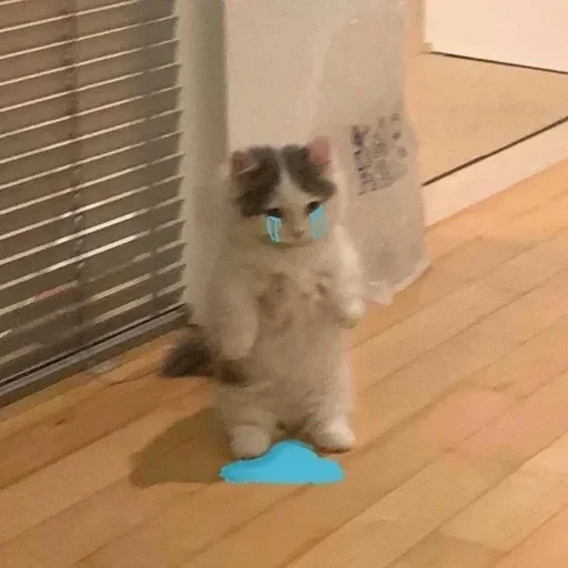Стикер KRDstikcersbehttps :: @fStikBot - 2