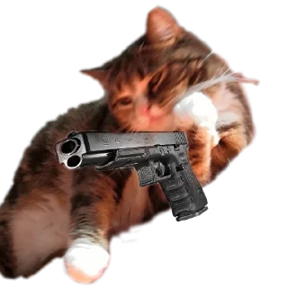 Sticker Котики с пистолетами - 0